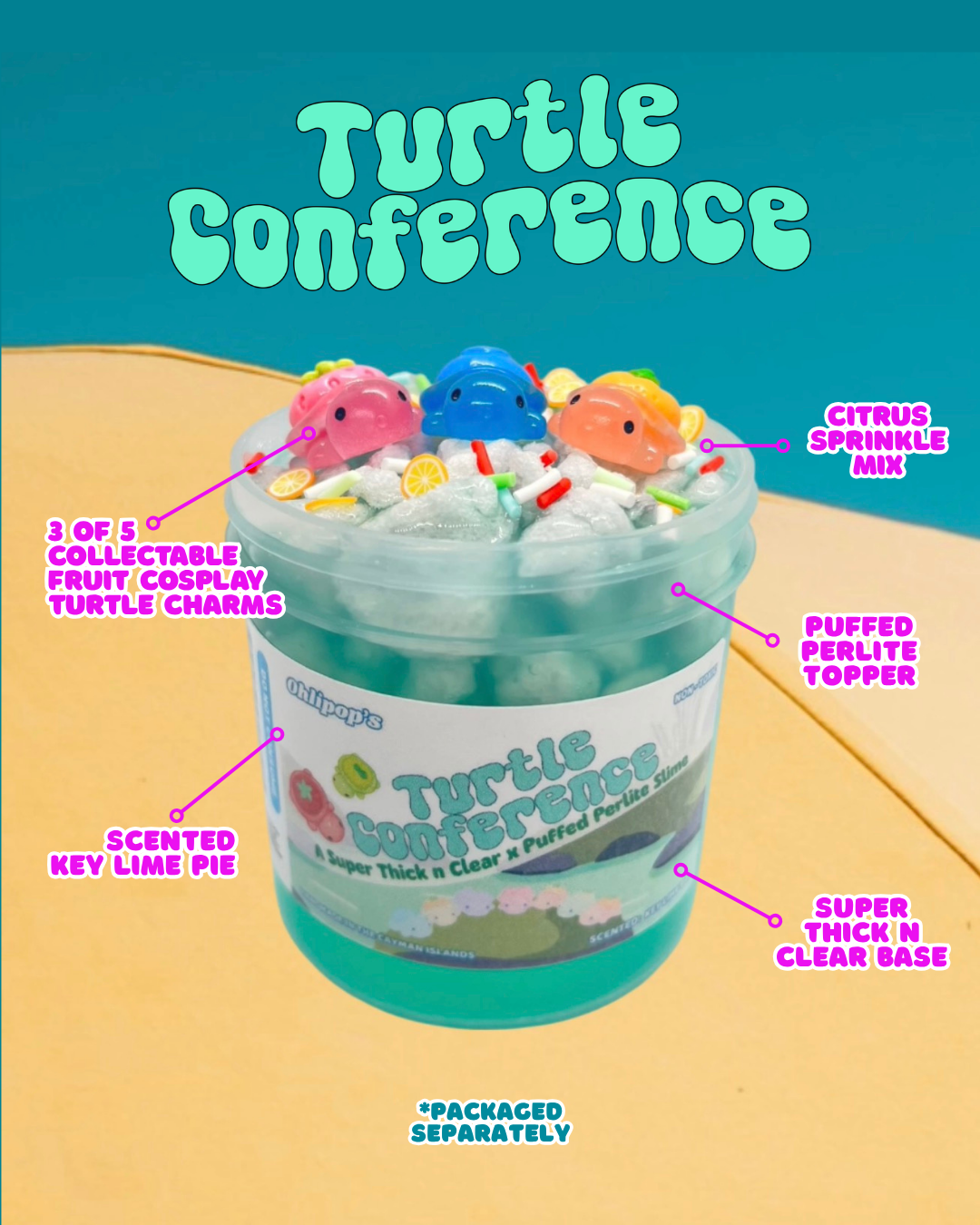 Turtle Conference
